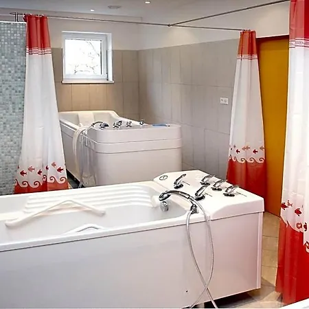 Hubert Frantiskovy Lazne 3* Cheb