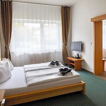Hubert Frantiskovy Lazne Hotel Cheb